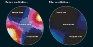 What Happens in Your Brain When You Meditate