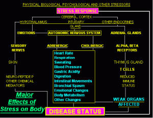 Understanding the Reason for Ailments in Our Body